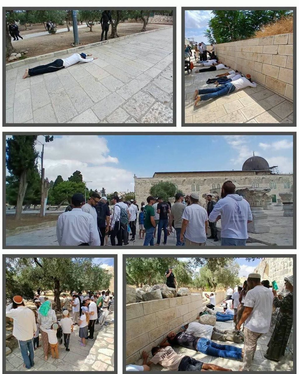 ABO_Watan9's tweet photo. لمن لا يعلم ويهمه الأمر 

مسرى الرسول صلى الله عليه وسلم يُدنس. https://t.co/hNwMkjDNay