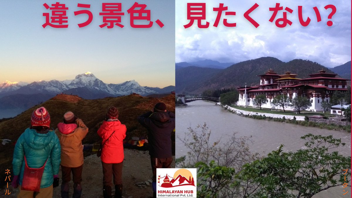 himalayanhub's tweet photo. 2026-2027年ネパール・ブータン旅行予約受付中！ヒマラヤの絶景、古き伝統、温かい地元の人々との出会いがあなたを待っています。エベレストトレッキングやカトマンズ散策、ブータンの豊かな文化と自然を満喫。お客様に合わせたプランをご提案します。 https://t.co/7sA5Vt7nos