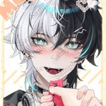 Photo by 蒐@緋花🐺ピグパ系Vtuber (@Syu_pgp)