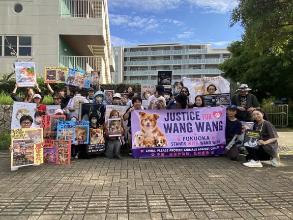 hg_jks's tweet photo. 2026.9.29
福岡中国領事館前抗議活動
お疲れ様でした！
#wangwang 
#中国に動物虐待禁止法の制定を https://t.co/KN9MrLtiOR