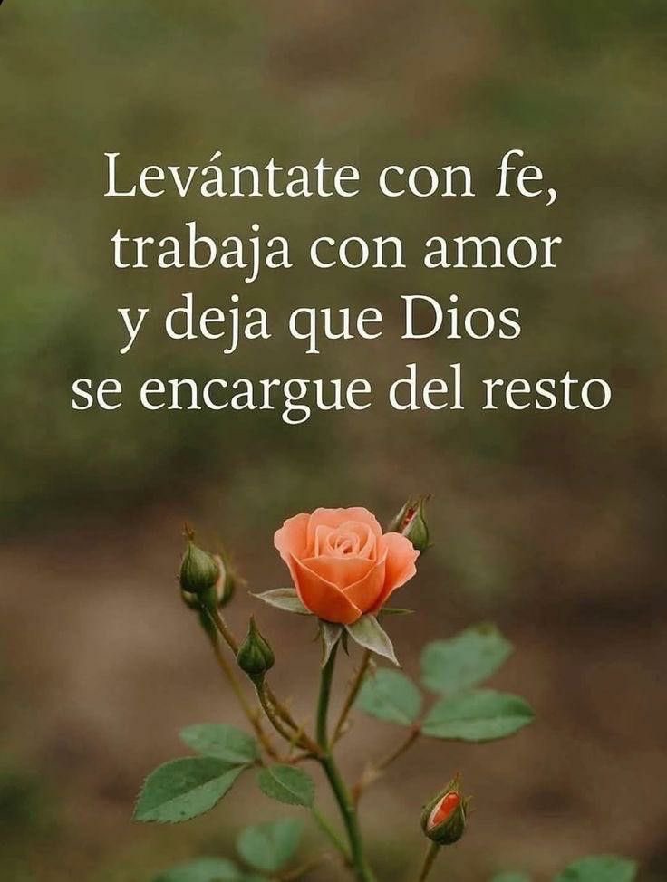 MendezVilla's tweet photo. Digamos cosas bonitas
Abracemos la vida con Amor.
Seamos fuertes para contener al más débil , recuerda que nosotros ya tenemos un sostenedor. 🫶
🌻🌻🌻🌻🌻🌻🌻🌻🌻🌻🌻🌻
#EnGratitud #EscribiendoMisMetas #BuenosDíasATodos https://t.co/SRXRhAhDHn