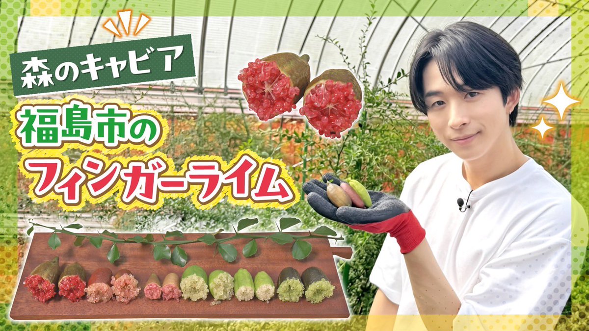 fantastics_fext's tweet photo. ／
#澤本夏輝 出演
福島中央テレビ
#FANTASTICS畑 
YouTube更新！
＼

【森のキャビア】
澤夏とマイメン！『フィンガーライム』
https://t.co/Jc5RlOaurL

チャンネル登録もお忘れなく♪

@gojiterechu 
#ゴジてれ https://t.co/PAnl6s82Gv