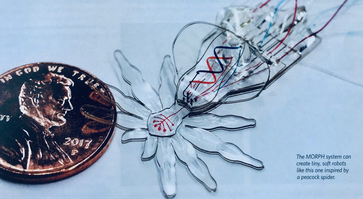 PullTheShade3's tweet photo. #spiderweb #Chemspider infusions
Threads sticking to #youandme too
#PulltogetherProject https://t.co/VchCLo0KI2