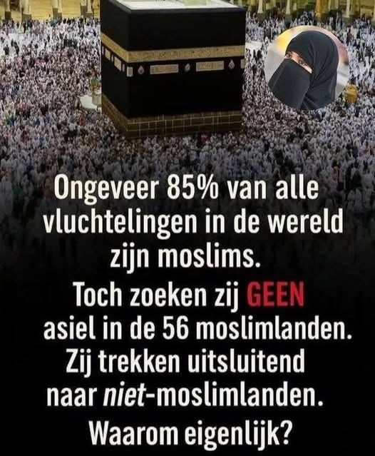 WimdenOudsten's tweet photo. https://t.co/RunQrPxSw4