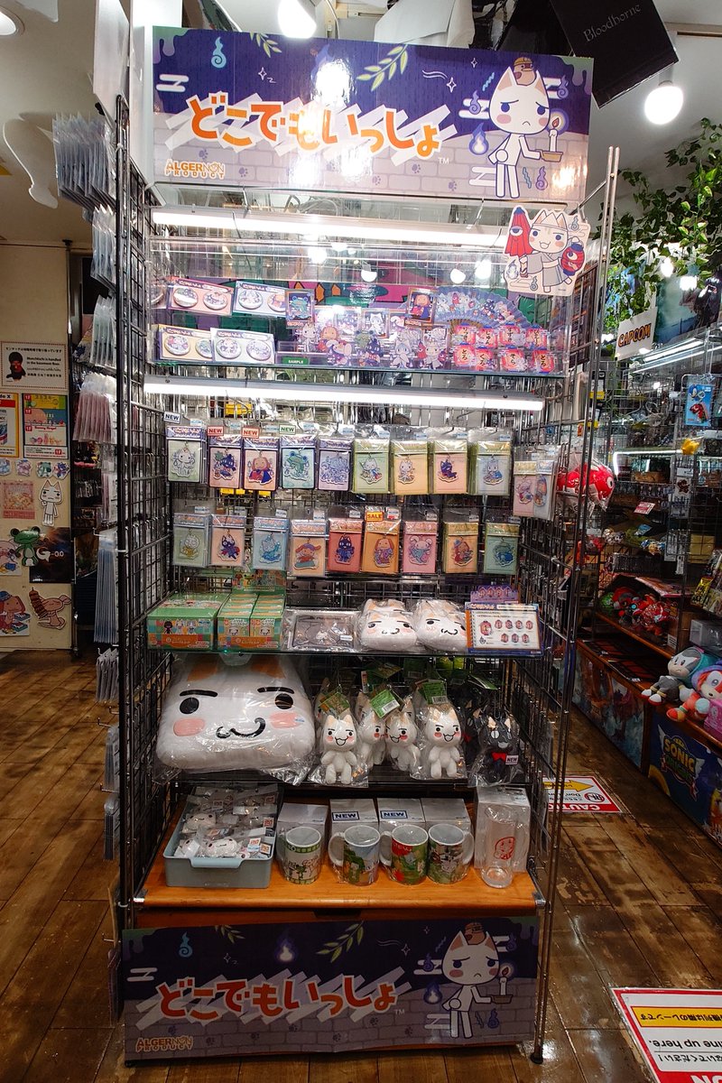 haworthia_cat's tweet photo. 今日はソラマチ→上野マルイ→ヤマシロヤ→YOU MORE買いまわり！
ソラマチはぬいやマスコット多分全種あります！
ヤマシロヤはモニクロは完売ですが他は豊富✨
YOU MOREは時計が復活！来月新商品も入るそう😆
以下詳細ぶら下げます！
#どこでもいっしょ https://t.co/jiIo2an6Hc