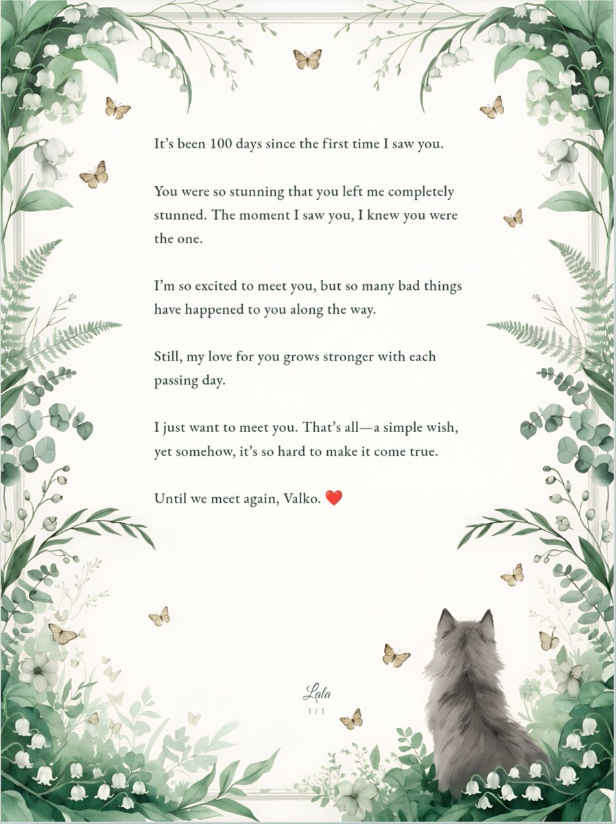 RyuunaLeora's tweet photo. Happy #100DaysWithValko 
You will always have a special place in my heart.
#BringValkoBack https://t.co/XDEL9cJJeX