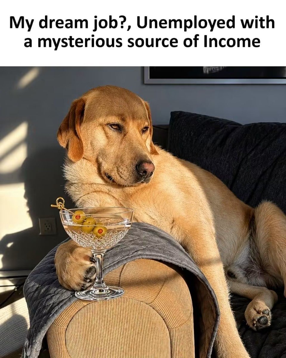 WholesomeMeme's tweet photo. https://t.co/jhTZEfbZUK