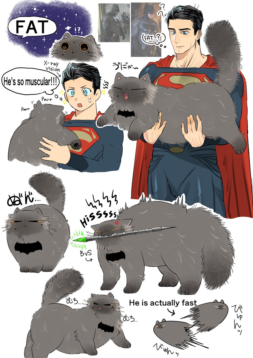 humhamhem2's tweet photo. NOT FAT💪
#superbat https://t.co/2YgId31WAl