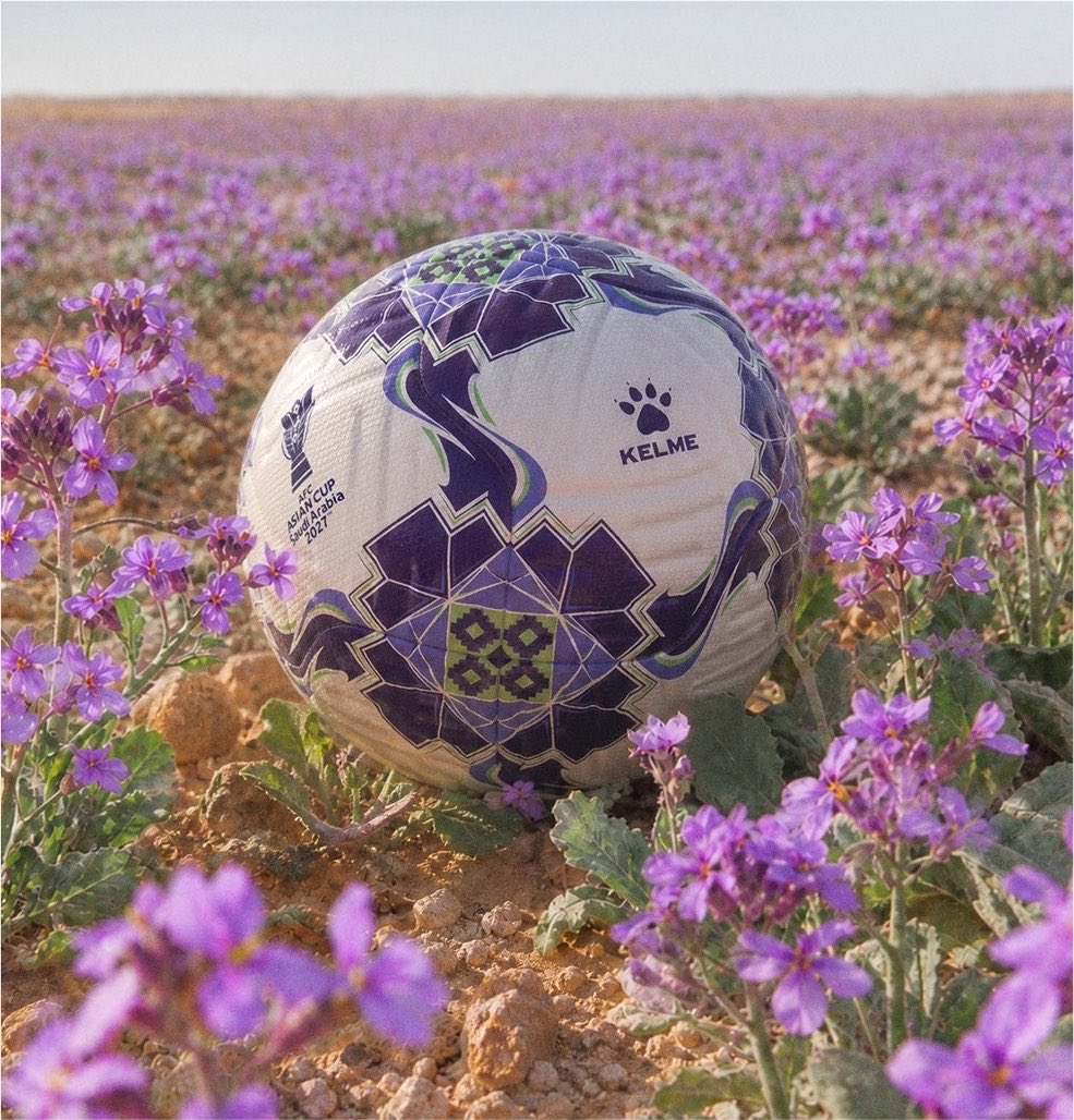 iFalcon10's tweet photo. ماخذين شكل كورة كاس اسيا 2027 من الخزامى 

طيب والله فخخخاممممه لاتوصف 💜 https://t.co/XWU1Rik1Qw