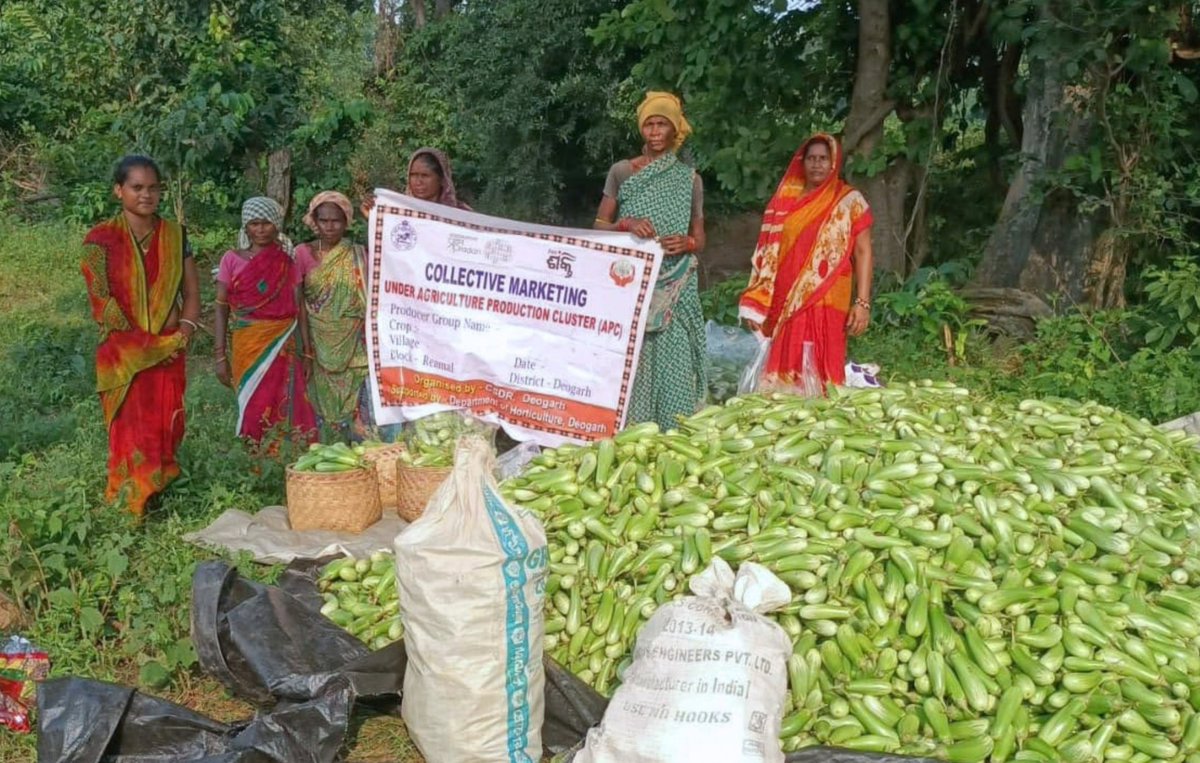 apc_program's tweet photo. From 18.4 acres of brinjal cultivation, women farmers are turning collective efforts into better market returns.

Over the last one month, women farmers of Maa Binapani Producer Group in Laxmipur village, Reamal Block, Deogarh district, have improved their brinjal cultivation practices and strengthened collective marketing under the Agriculture Production Cluster (APC) Programme, supported by the Directorate of Horticulture and Department of Mission Shakti.

Facilitated by APC Partner CSDR, the Producer Group has harvested 276.5 quintals of brinjal and collectively sold the produce for ₹7.60 lakh so far, helping women farmers reach markets together and earn better from their harvest.
@cmo_odisha @SecyChief @ipr_odisha  @krushibibhag
@Horticultureod1 @OLM_Antyoday @mission_shakti @Deogarhdistadmn #CSDR @PRADAN_India