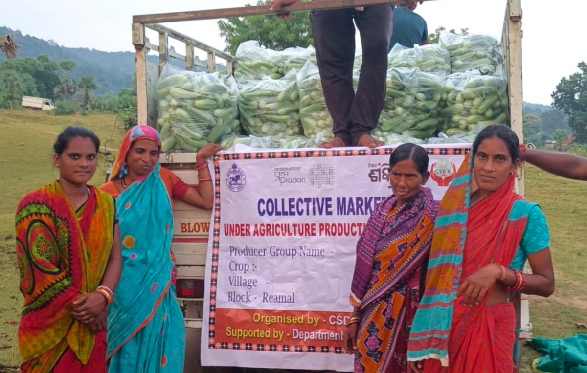 apc_program's tweet photo. From 18.4 acres of brinjal cultivation, women farmers are turning collective efforts into better market returns.

Over the last one month, women farmers of Maa Binapani Producer Group in Laxmipur village, Reamal Block, Deogarh district, have improved their brinjal cultivation practices and strengthened collective marketing under the Agriculture Production Cluster (APC) Programme, supported by the Directorate of Horticulture and Department of Mission Shakti.

Facilitated by APC Partner CSDR, the Producer Group has harvested 276.5 quintals of brinjal and collectively sold the produce for ₹7.60 lakh so far, helping women farmers reach markets together and earn better from their harvest.
@cmo_odisha @SecyChief @ipr_odisha  @krushibibhag
@Horticultureod1 @OLM_Antyoday @mission_shakti @Deogarhdistadmn #CSDR @PRADAN_India