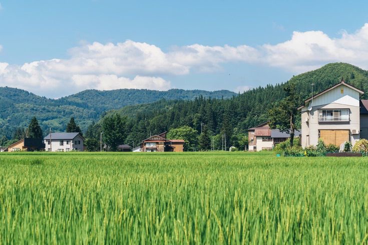 reminiscinbby's tweet photo. Japan countryside https://t.co/v0TXyfObwT