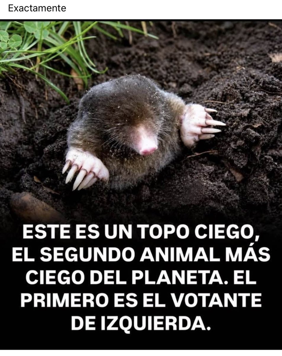 PedroCabre2348's tweet photo. https://t.co/JFw80qy03I