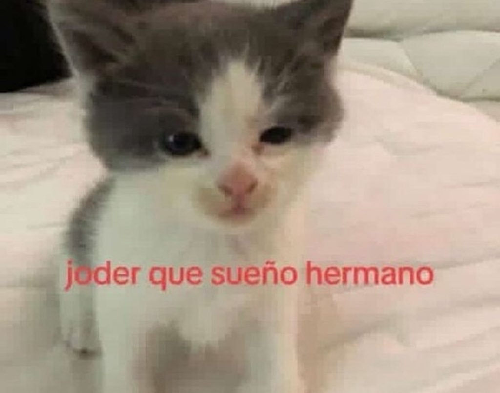 Mantequilla90's tweet photo. https://t.co/jO3omF5O7a