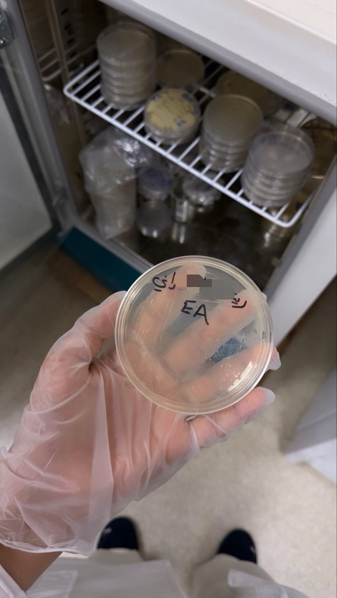 lonel7__'s tweet photo. اول لاب #Micro 🧫
انا والبيولوجي مانحب بعض 
اتمنى هالكورس يكون ممتع https://t.co/sfULMa0qiy