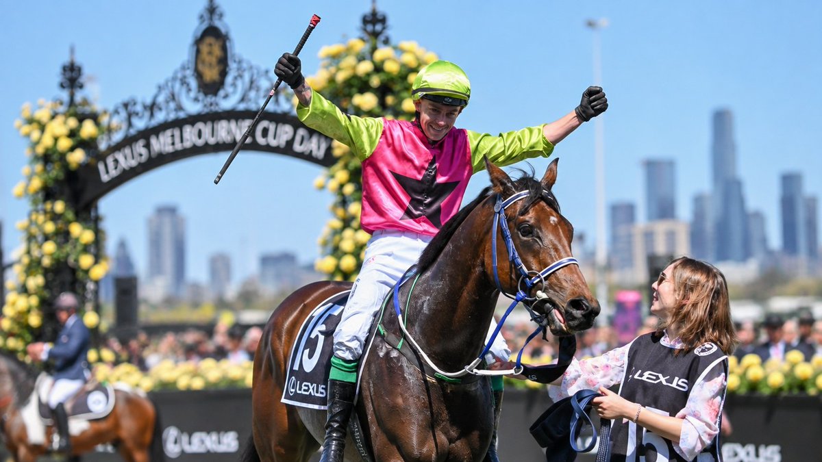 RaceHubNow's tweet photo. Knight's Choice returns to Flemington on Saturday for the first time since his 2024 Melbourne Cup win, and co-trainer Sheila Laxon says a wet track would end his chances in The Bart Cummings, with up to 25mm of rain forecast for Thursday and more on Friday. https://t.co/NNDQUq27SS