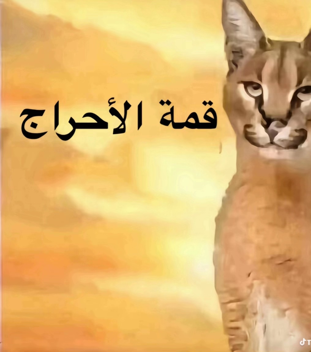 lilili38279's tweet photo. لما تكون عضو في وزارة شؤون المرأة ويسألوك شن الحل مع العنف الاسري فتقول "الله غالب هذا شي يصير"
#صوت_نساء_ليبيا
#بلا_نقاب_٢٠٣٠ 
#لا_للقانون_الجعفري
#لا_لتجهيز_الرجل_المصري
#لا_للمادة_424
#womenright https://t.co/eIlZPRV7WX