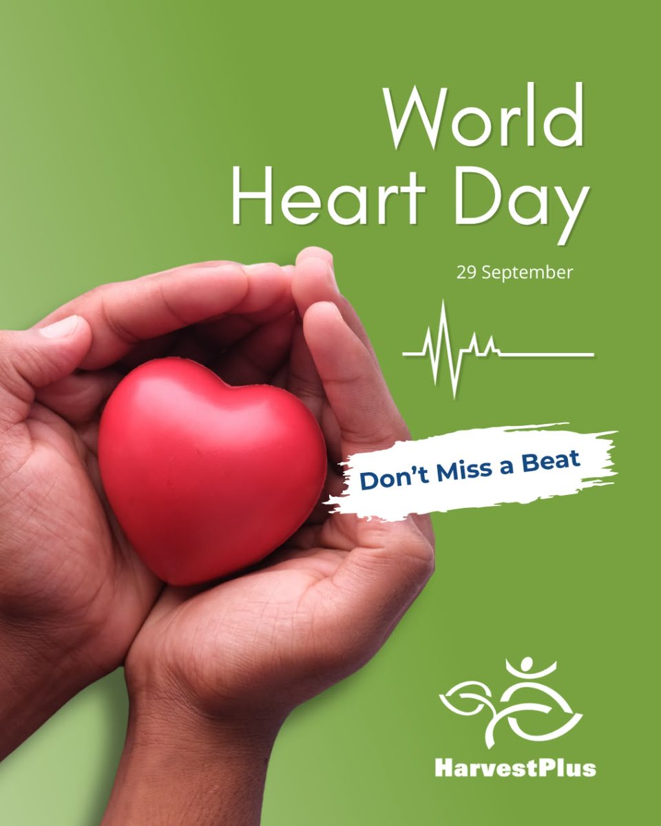 HarvestPlus's tweet photo. ❤️ This #WorldHeartDay, let’s put healthy diets at the heart of healthier lives.

HarvestPlus works with partners to make nutritious foods more accessible. 

Healthier food systems help make healthier choices possible.

#WorldHeartDay #Nutrition #Biofortification #HarvestPlus https://t.co/fMW7BhRzki