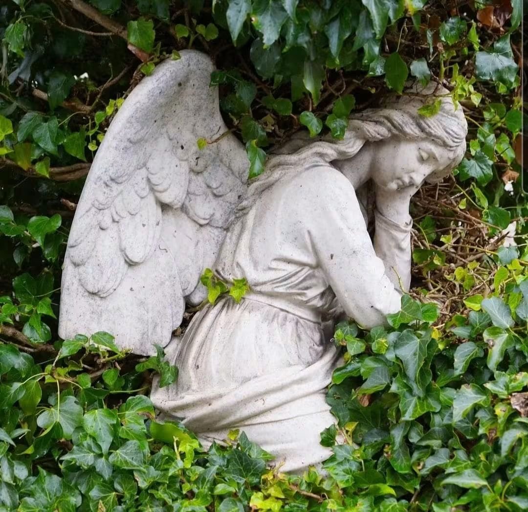 Brontefan1976's tweet photo. "Summer drew to an end, and early autumn: it was past Michaelmas, but the harvest was late that year, and a few of our fields were still uncleared."

Wuthering Heights, Emily Brontë

Warm wishes on Feast of Saint Michael and All Angels.

Happy Michaelmas Day. https://t.co/ISbPt41K8s