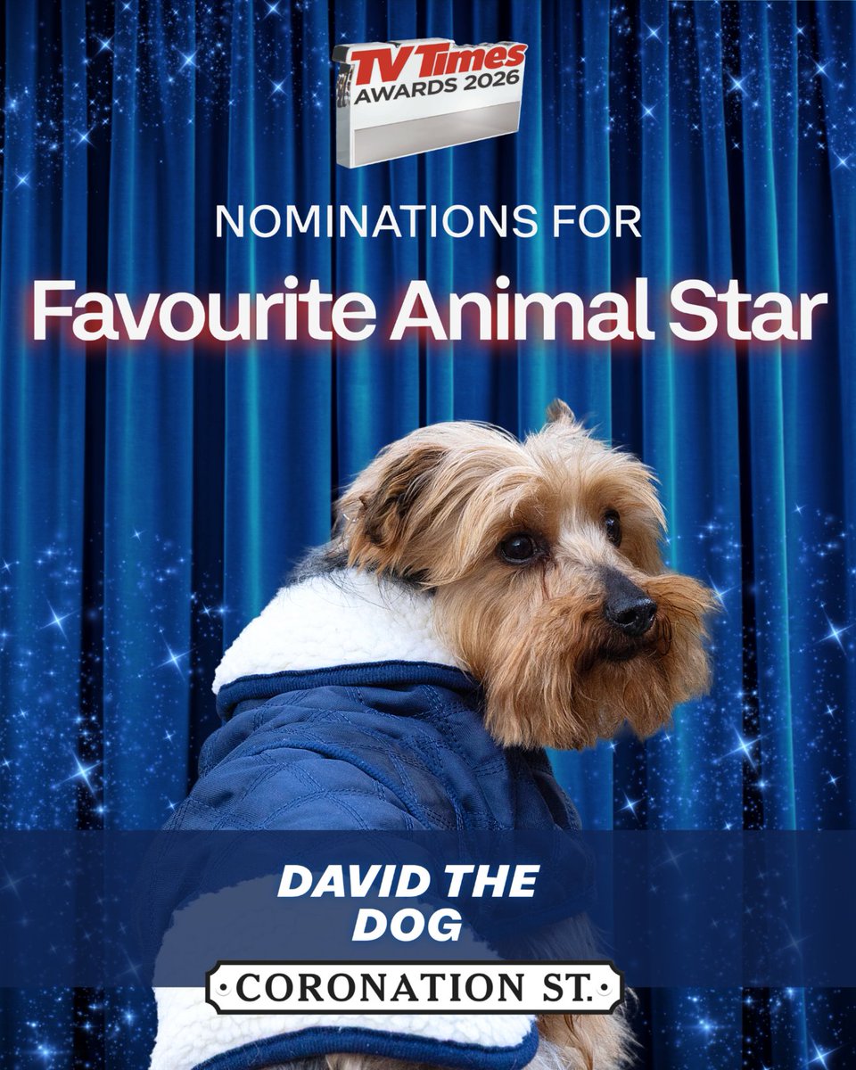 itvcorrie's tweet photo. It is your last chance to vote for this year's TV Times awards! Voting closes at midnight tonight. Click the link to vote all things Corrie 🤩✨
https://t.co/LFkResD3q3
#Corrie #TVTimes https://t.co/S1yBlnHI5P