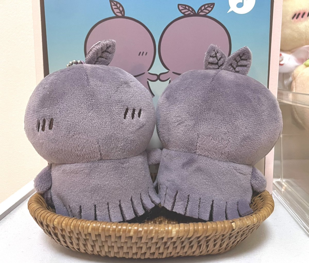 Sluuuko222's tweet photo. ヒトハフタバを小物トレーに飾ってみたら、小舟に乗ってるみたくなって可愛いかも💖 https://t.co/2EJlC9ZfPB