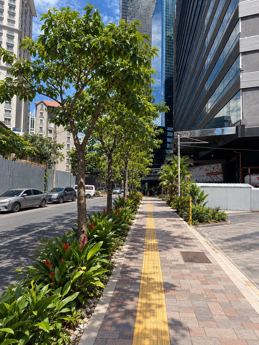 freddypitti's tweet photo. Ojalá fueras alcalde para que pudieras recuperar la acera y arborizarla impidiendo así que los autos se estacionen en la zona peatonal. Todo menos hacer tu trabajo.

¿Qué has hecho con los $636 Millones de presupuesto entre 2024 y 2026? #AuditoríaCiudadana https://t.co/jgTTAqQPQs
