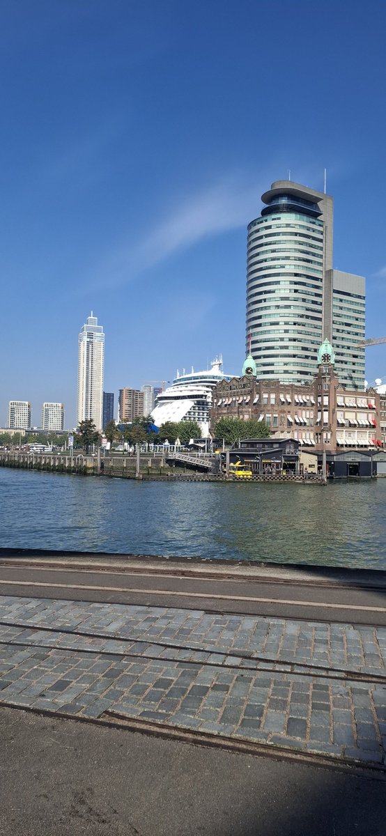 iktwitelkedag's tweet photo. Rotterdam is mooier dan Parijs https://t.co/wI1aZS2Vbj