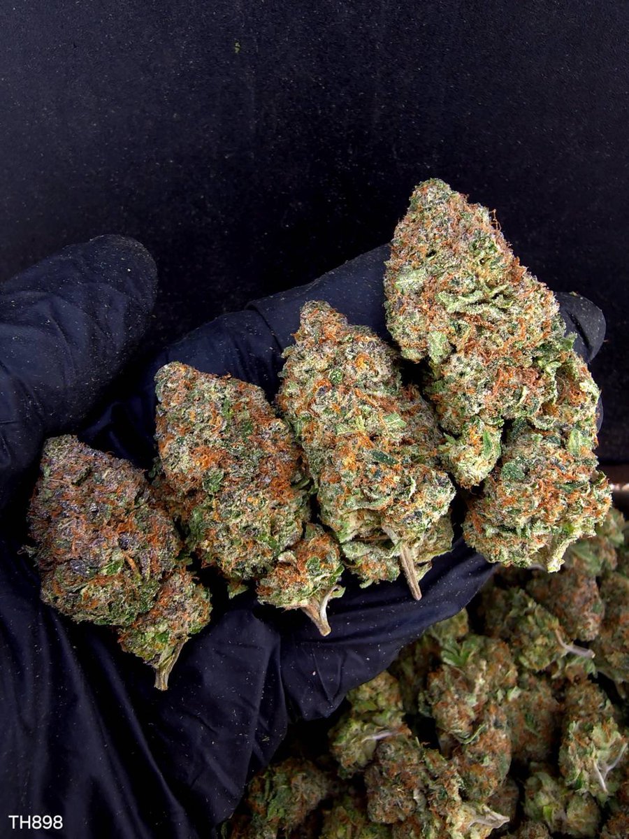 kaai_neuua_boi's tweet photo. ☃️【 💡 Indoor • GACP Extra 🪴 】🇹🇭
🥦Size Top Mid ❄️✨

🔸 Top KING JUICE 👑🍊
🔸Hybrid 🔸THC27%

Aroma🔺 Orange 🍊 Sweet 🍬 Citrus 🍋

💸100G = 1,299฿ , 1KG = 8,500฿💸

🛍️สนใจสินค้า @Line 
ทักแชท ตามสั่งได้เลยครับ🔻
Line ID (.) ▶️ 0924153858.
https://t.co/85BMKgGDfj

#weed https://t.co/1VkleoFB7v