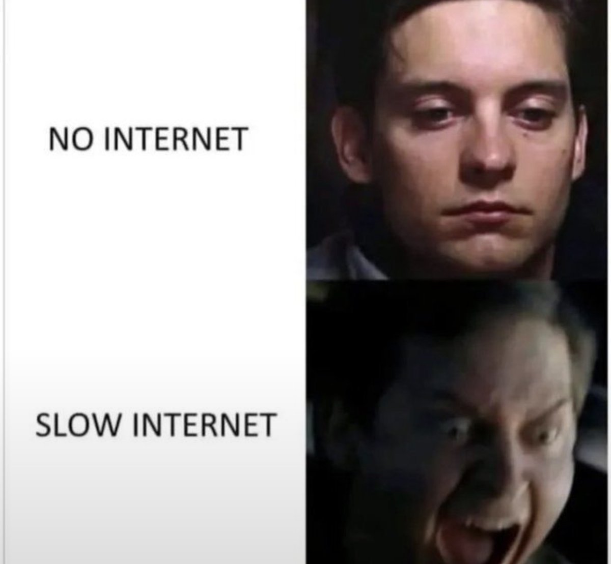 NoContextHumans's tweet photo. So true. https://t.co/M6VGOh41TM