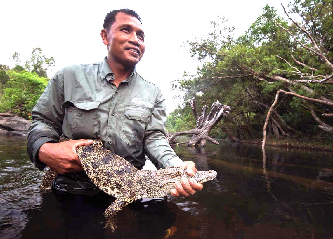 thandojo's tweet photo. Saving the #Siamese #crocodile: #Cambodia moves to protect one of the world’s last wild populations
In the 1990s, conservationists in Cambodia feared the Siamese crocodile had disappeared for good. But in villages dotted among the #wetlands of the remote Cardamom mountains, https://t.co/3pfF3lNFQQ