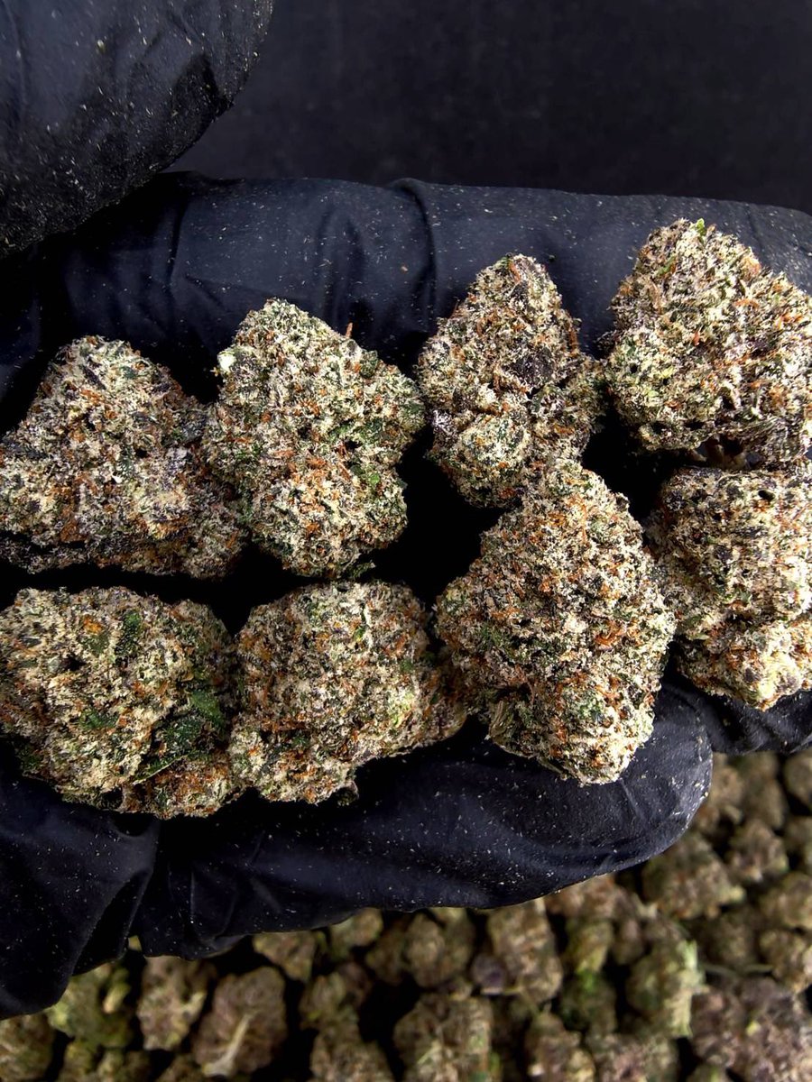 Seikafourtwenty's tweet photo. ☃️【 💡 Farm สป. • SGS GACP 🎋 】🇽🇰 🇹🇭
🍿Size Pop M ❄️ ✨

🔸 FALCON NINE 🦅🖤
🔸 Indica70% 🔸THC20%

Aroma🔺 Gas ⛽ Heavy 🚀 Earthy 🪵

💸100G = 1,400฿ , 1KG = 9,500฿💸

🛍️สนใจสินค้า @Line 
ทักแชท ตามสั่งได้เลยครับ🔻
Line ID (.) ▶️ 0924153858.
https://t.co/2ctg71aMCD

#weed https://t.co/wgKwsqpqBM