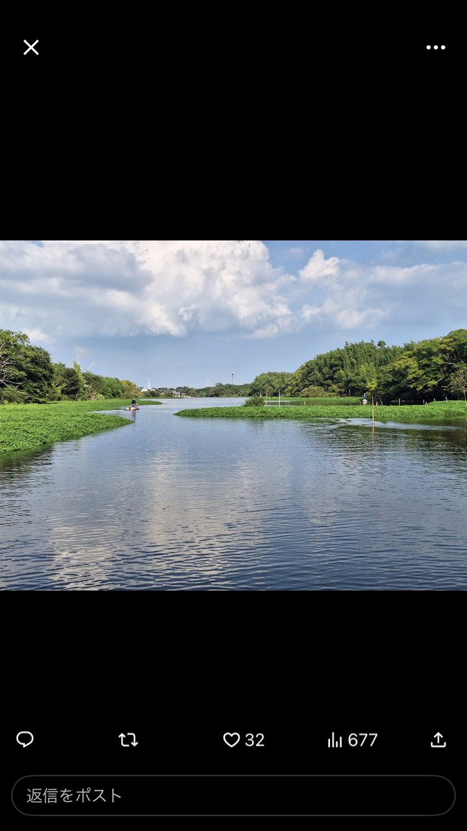 hokusosuisan's tweet photo. 印旛沼！

印西市の旧長門川近くの農家さんと話をした。

浸水した田んぼの中までナガエツルノゲイトウが大量に入っていてどうして良いかとの事…

法律や扱い方が難しい…

侵略的外来生物！

専門家の派遣を！

2次被害にならない為にも対応しなくては！

農家を守れ！

頼むぞ！チーム印旛沼！ https://t.co/P2GBG7Bw4x