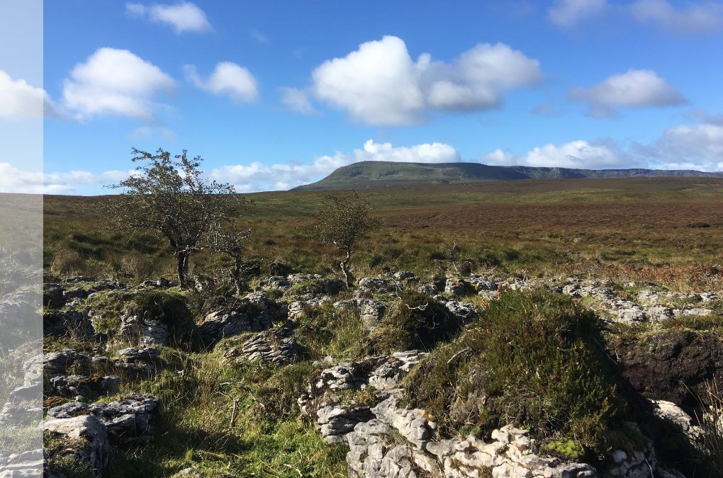 EnvironmentNI tweet picture