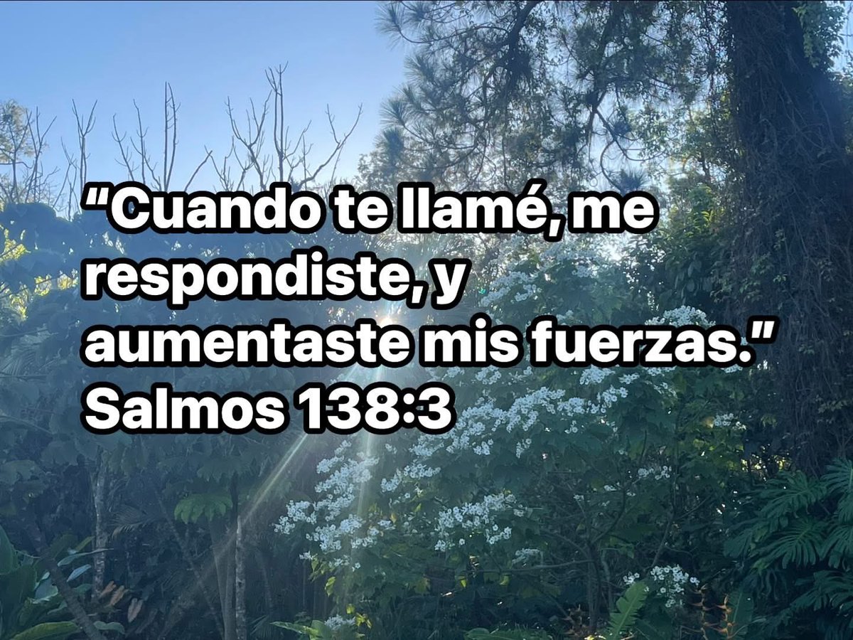 oryanes's tweet photo. https://t.co/rQw4pmpeKC