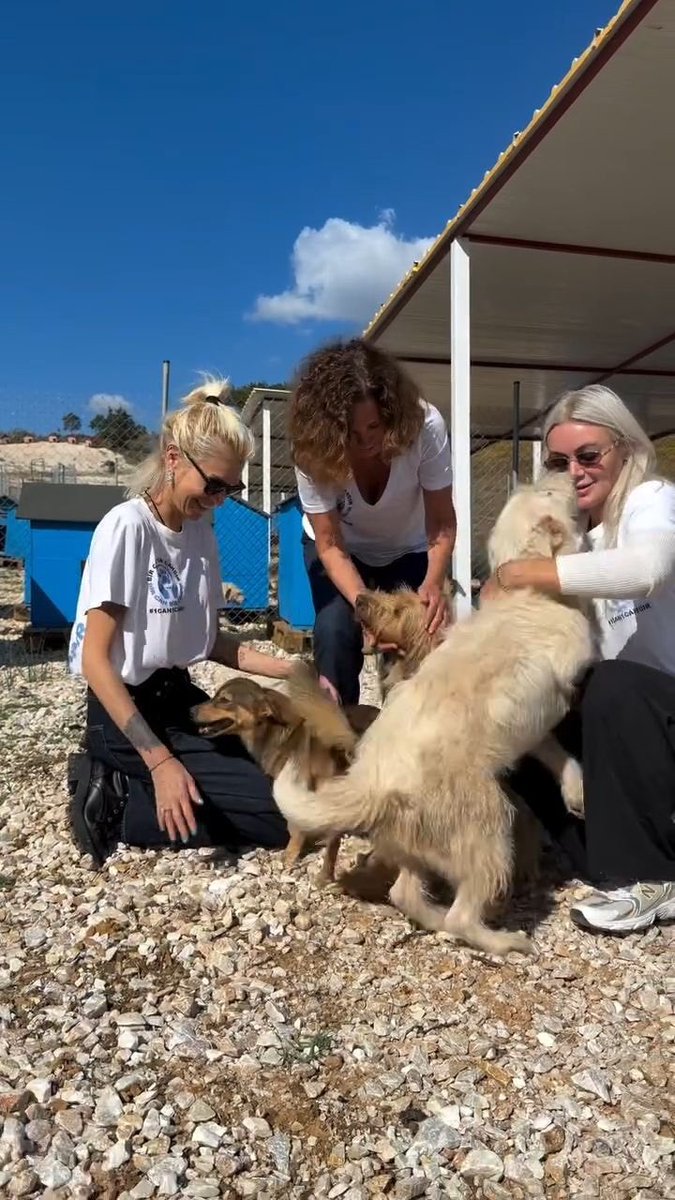 magazin_eki's tweet photo. Derin Mermerci, Ender Mermerci, Zeynep Kocabıyık, Deniz Ketenci, Zeynep Madra, Hare Dinçer ve Rana Erkan Tabanca, 'Bir Can Bir Candır Derneği'ni kurdu. 

Ünlü isimler, 23 bin dönümlük alanda sahipsiz sokak köpekleri için yeni bir yaşam alanı hayata geçirdi.🙏🏻👏🏻 https://t.co/WmwDBTUzhq