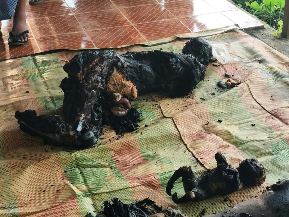 Kalaraksa_'s tweet photo. A recent photo from Myanmar, unknown location, possibly Rakhine State, the results of the Myanmar Air Force and Min Aung Hlaing’s re-education campaign against the people of Burma. 

@USEmbassyBurma 
@FLOTUS @POTUS @SecRubio @RepAaronBean https://t.co/7FPBFEUH8j