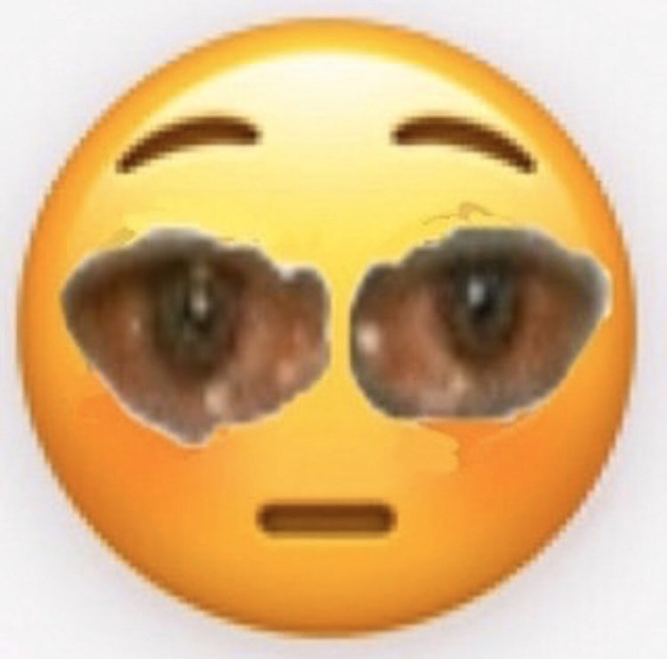 theofficialpouf's tweet photo. OMFGGGGGG GET ME OUT OF HERE https://t.co/e5slrJvkf5