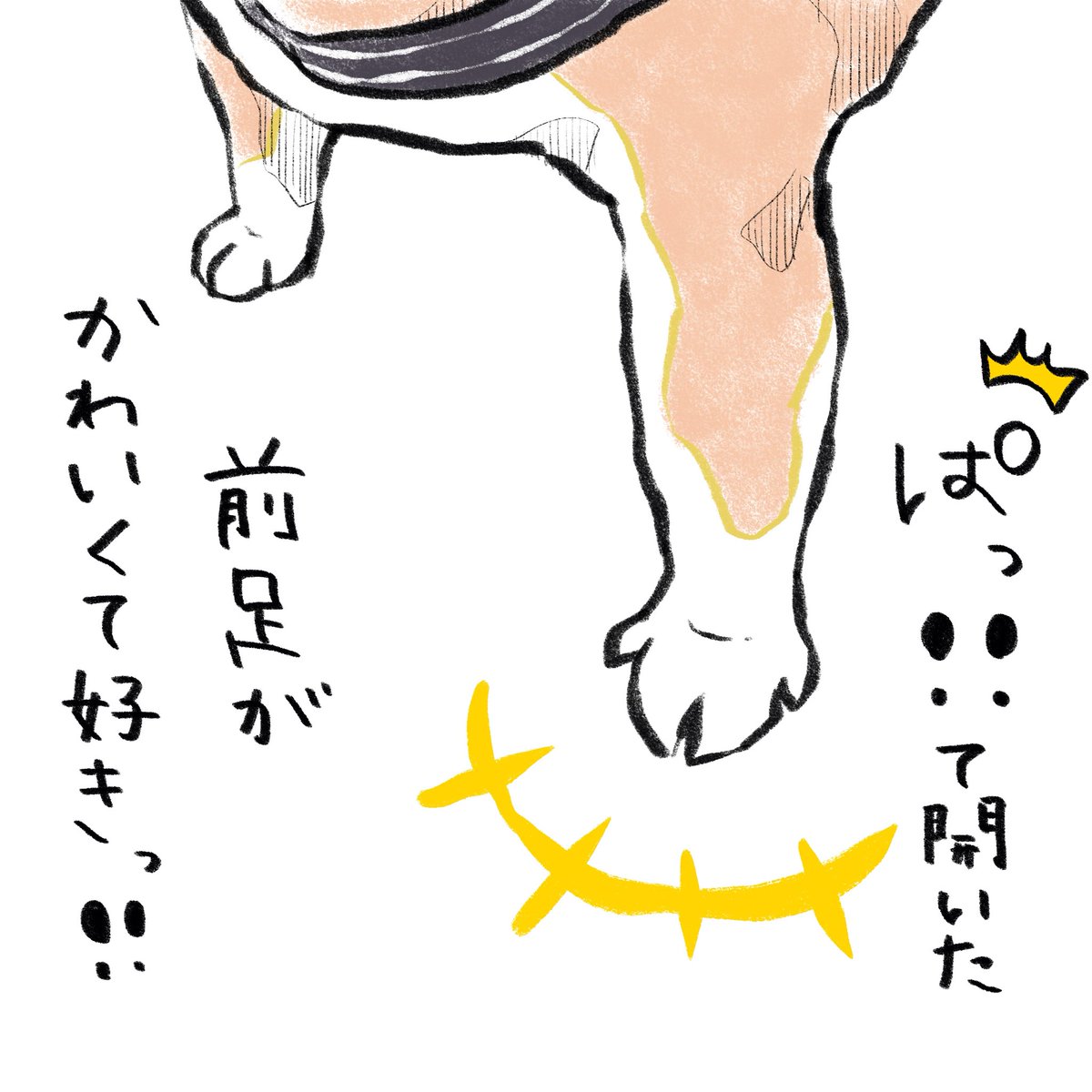 kogudon2990's tweet photo. 💩ぱって開く前足好き
#おもちさんの日常 https://t.co/CSIArCNlZV