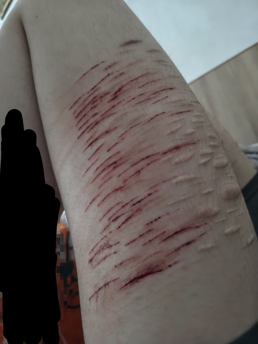 g00redance's tweet photo. mid FAKE SFX MAKEUP!!! all Halloween makeup done with chat gpt fake everything https://t.co/MrBseaxpjT