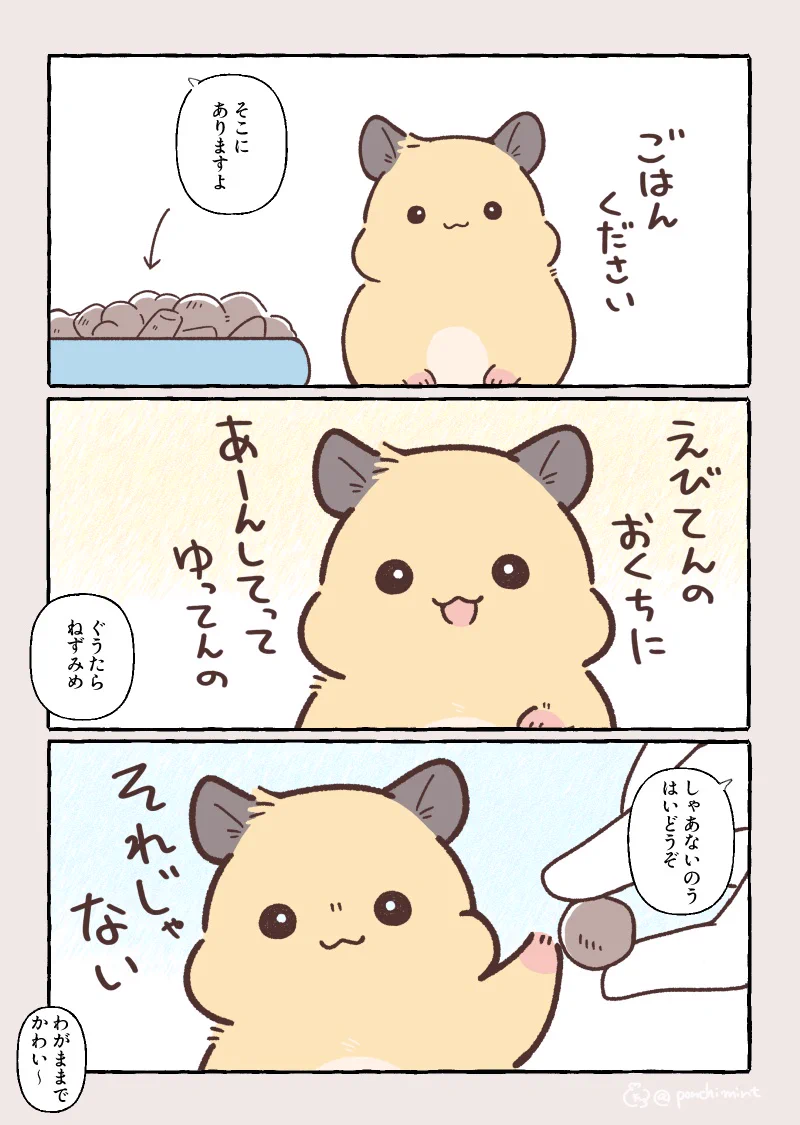 しらほし卯乃@2巻5月20日発売🌻🐹 (@ponchimint) / X