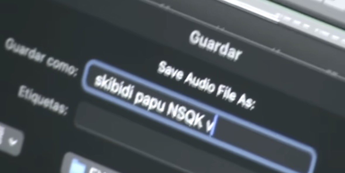 babysakko_'s tweet photo. CURIOSIDAD DE NSQK DIARIA HASTA QUE SALGA “MOSCA”
(5/20) 
El nombre en clave de la colaboración de Røz y nsqk era “Skibidi papu nsqk” No tiene mucho contexto o profundidad simplemente es un dato chistoso https://t.co/bbWdukXCUb