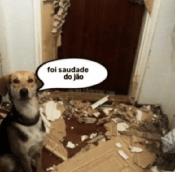 casadosteuspais's tweet photo. só faz quatro dias https://t.co/TvQr9F7F5o