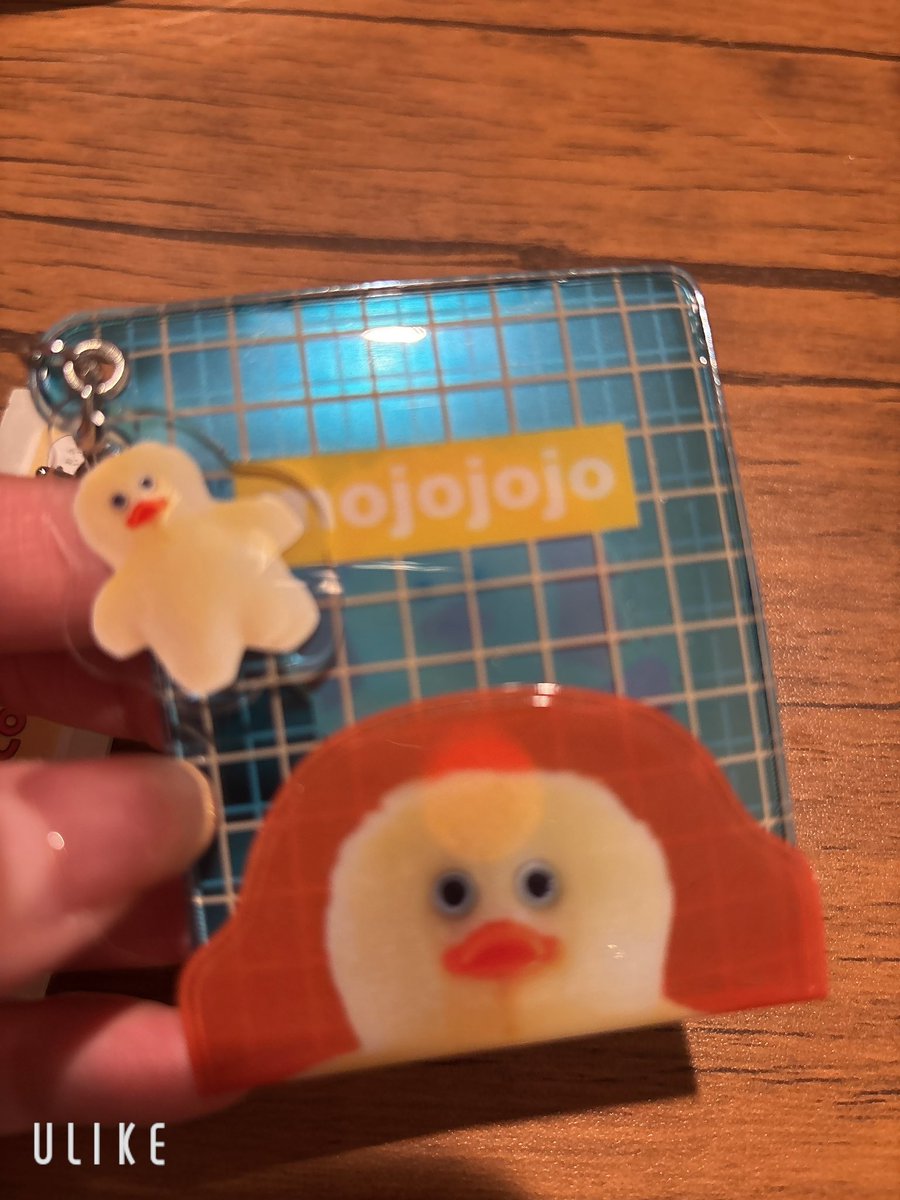 aimirurui's tweet photo. #mojojojo 
 ミニ巾着とミニポーチとフラットミニケース！うさぎ来なかったーっ
鳥さん好き��スタッフいるゆえ、献上しよう(´❛-❛`) https://t.co/OaepSK6aa0