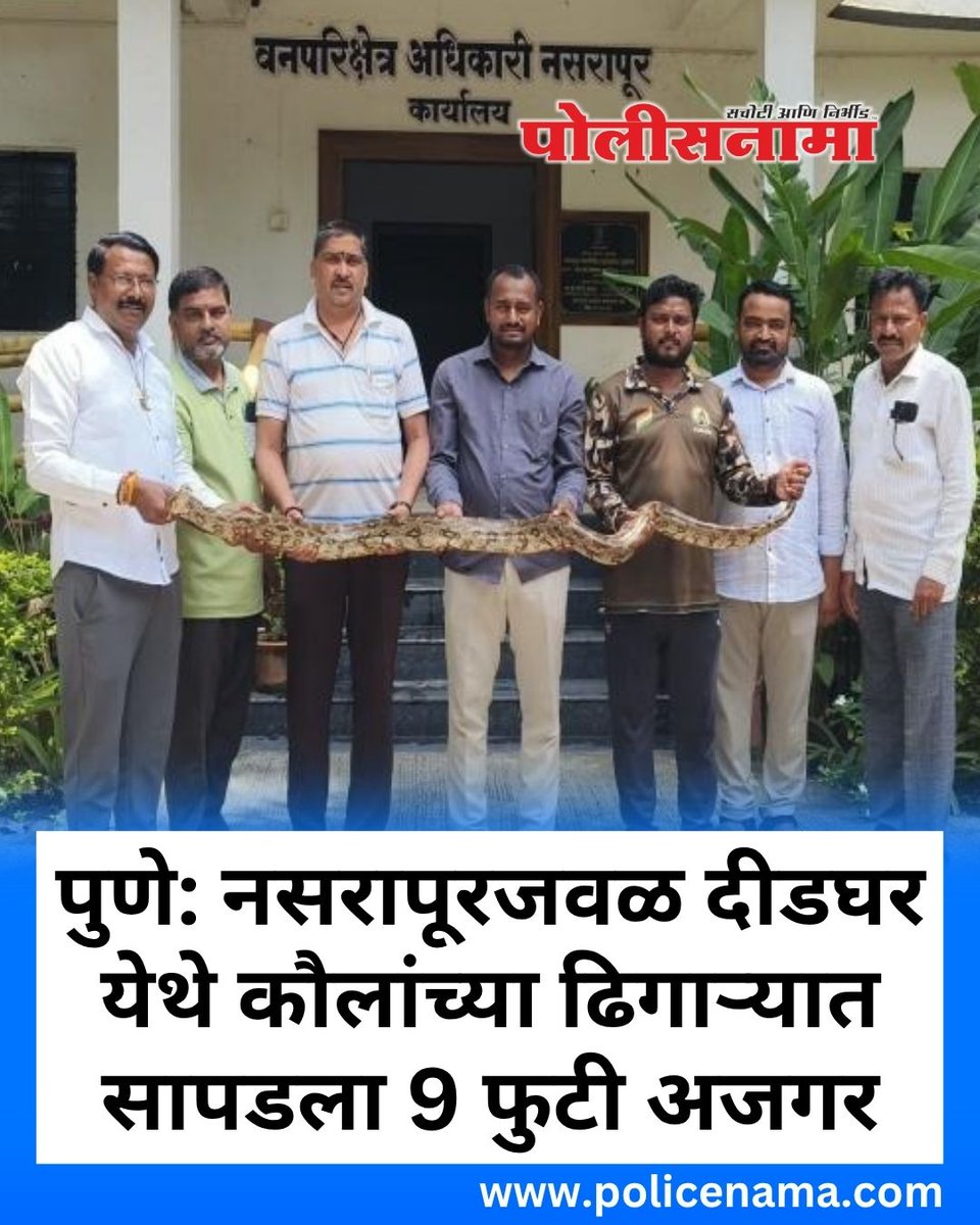 Policenama1's tweet photo. पुणे: नसरापूरजवळ दीडघर येथे कौलांच्या ढिगाऱ्यात सापडला 9 फुटी अजगर
#Pune #Bhor #Nasrapur #PythonRescue #IndianPython #SnakeRescue #WildlifeRescue #Wildlife #ForestDepartment #PuneNews #MaharashtraNews #Nature #WildlifeConservation #SnakeAwareness #ReptileRescue #AnimalRescue https://t.co/Qf5D0oYi2b