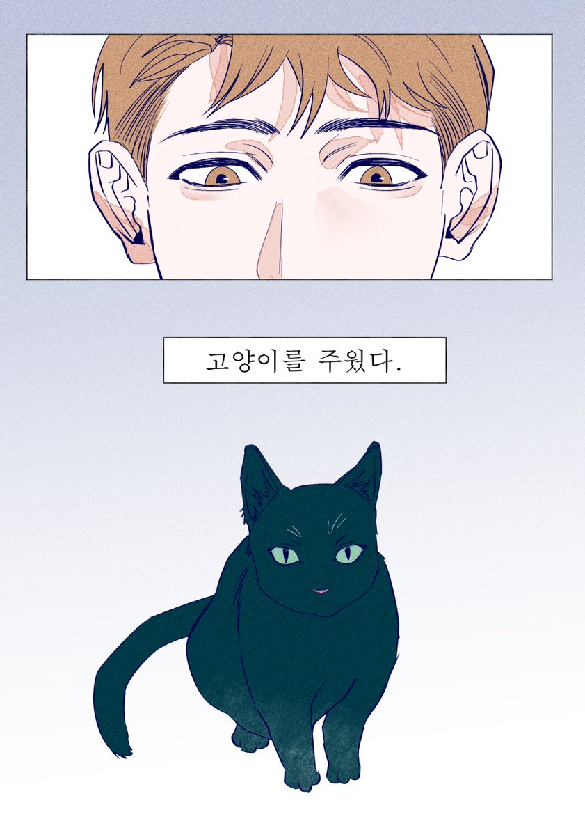 _Rokcho's tweet photo. 고양이 제로 #불우한삶 https://t.co/rAvO78n7VY