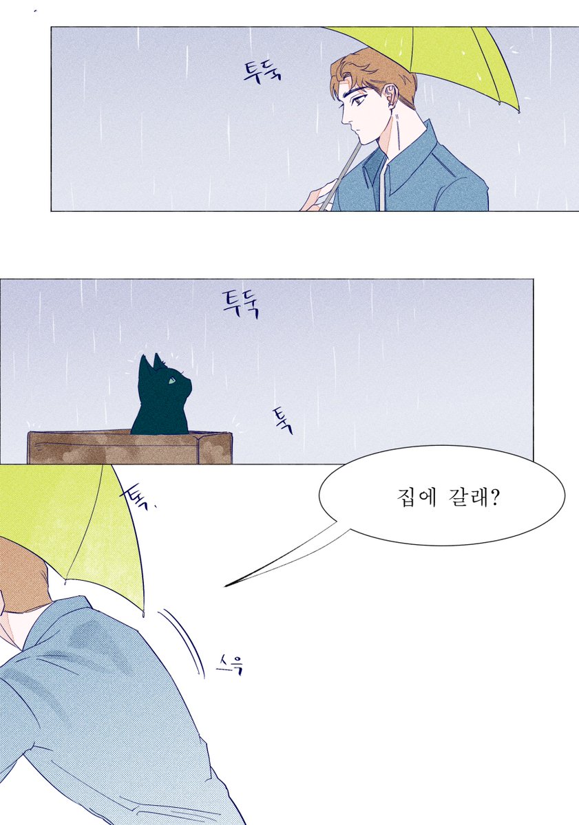 _Rokcho's tweet photo. 고양이 제로 #불우한삶 https://t.co/rAvO78n7VY