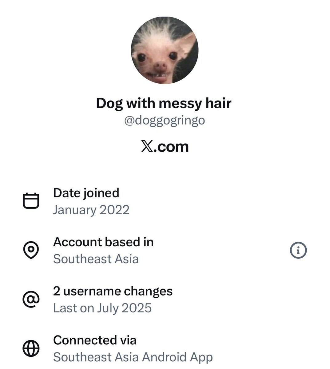 TheHateBasee's tweet photo. @doggogringo https://t.co/cNkXvthCNF