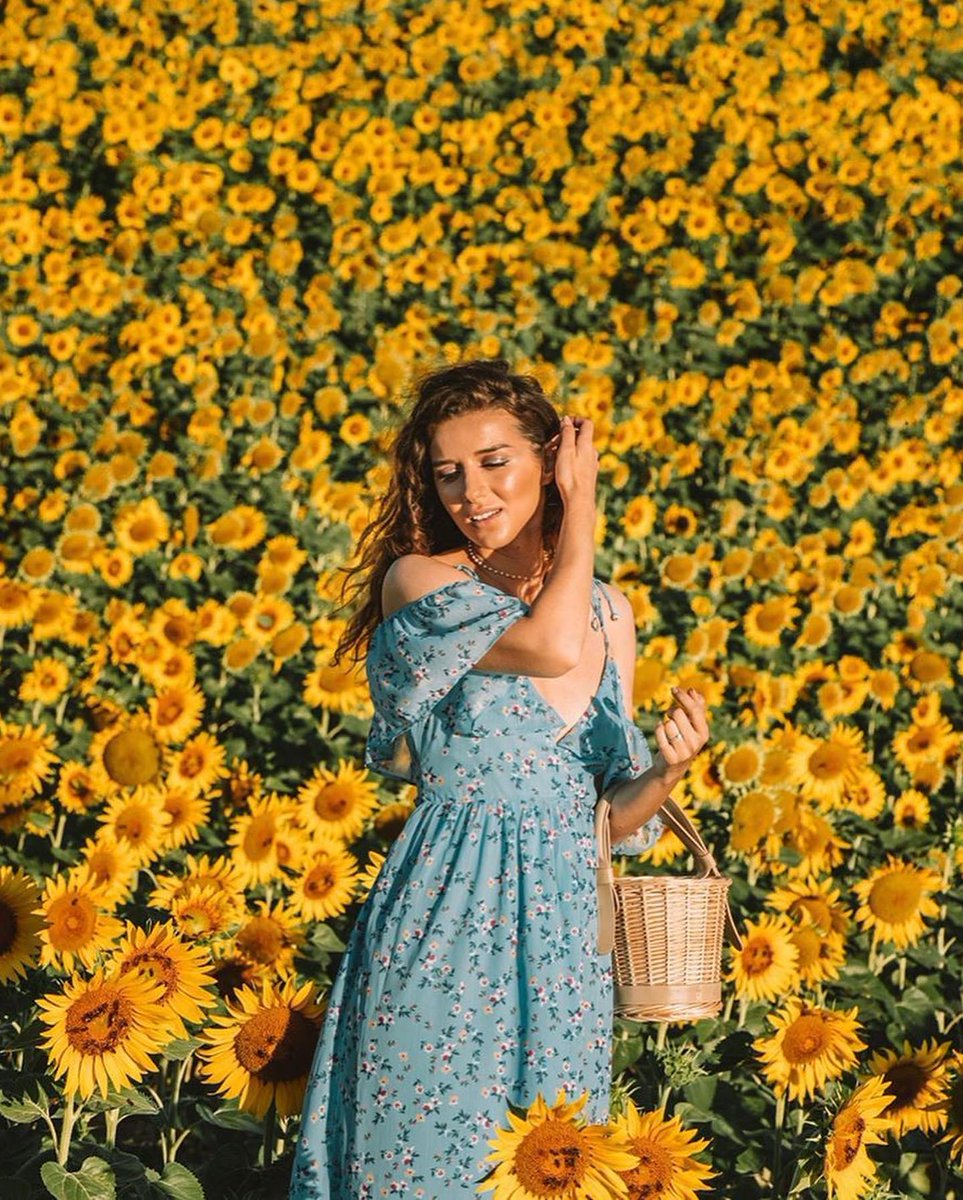 RhamyellenM's tweet photo. 財布を開いたときの切なさは、世界共通のミステリーだよね。結構大事なことだと思うんだ。 🌟
iPixb https://t.co/eeXHWLWqgX