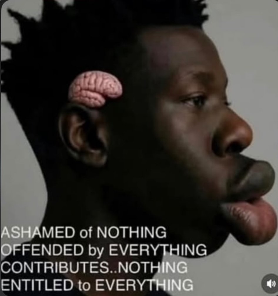 GodIsKingly's tweet photo. @idealtiger226 @RedardoAutsperg @D4V3MakesMusic @jojorevz Nothing to see here, simply a nigger who is sad because he was born burnt...
Get to work nigger, the cutton needs to be picket! https://t.co/nWXHVKWrpb