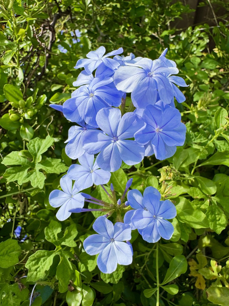 SashaEats's tweet photo. Good morning 🌸 https://t.co/C8zCNmnzMC